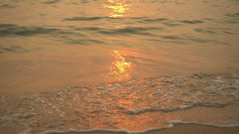 Golden sand with rolling waves at sunset Stock Footage 113416901