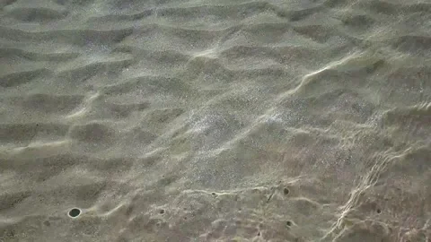 Golden Sand in the Sea Vídeo Stock 345402411