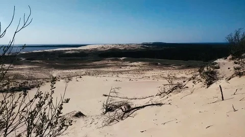 Golden sandy beach scene, Lithuania sightseeing coastline. Beach grass Stock Footage 107620550