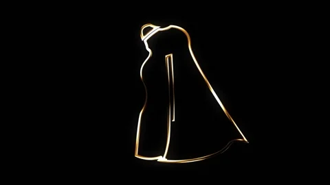 Golden Saree Stock Footage 221957517