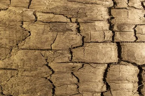 Golden scorched texture surface, abstract minimal backdrop with copy space Stock Photos