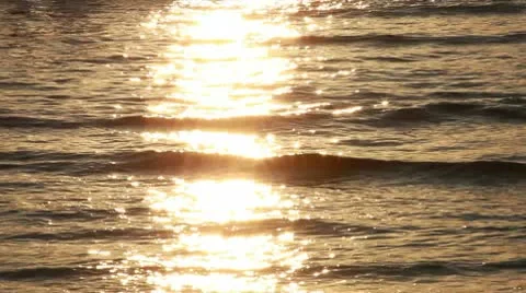 Golden sea Stock Footage 10704289