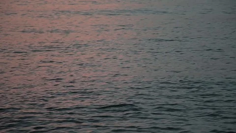 Golden Sea Surface Waves Evening Sun Reflection Video stock 80955165