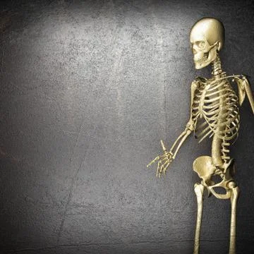 Golden skeleton Stock Illustration