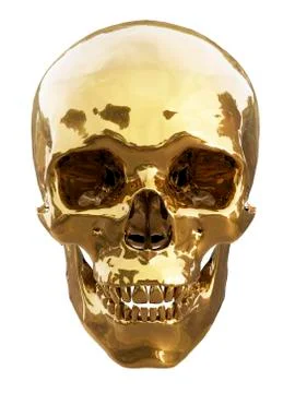 Golden skull Stock Illustration