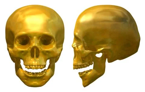 Golden Skull Stock Illustration
