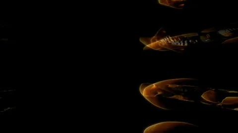 Golden Skulls Motion Mapping Stockbeeldmateriaal 24719613