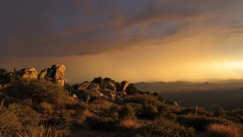 Golden sky Stock Photos