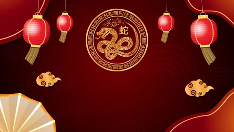 Golden Snake with red background. Stock Footage 297159233