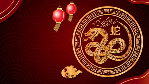 Golden Snake with red background. Stock Footage 297159248