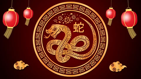 Golden Snake with red background. Stock Footage 297160331