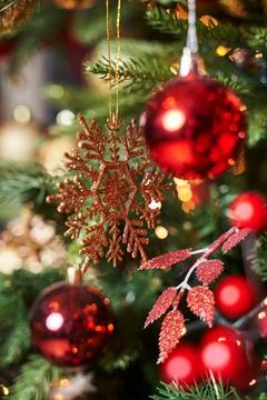 Golden snowflake between two red balls on the tree Stock Photos