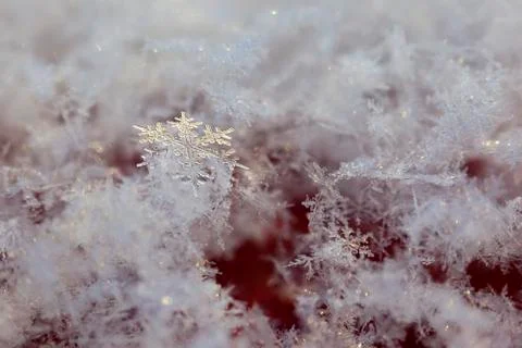 Golden Snowflake Stock Photos