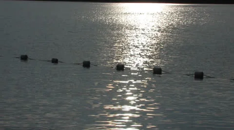 Golden Sparkles Stock-Footage 25425540