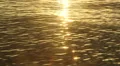 Golden sparkling lake with swells. Slo-mo. HD Footage