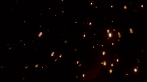 Golden sparkling particles Stock Footage 166661650