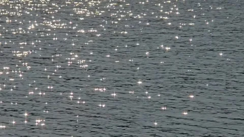 Golden Sparkling Sunlight Reflection on Rippling Water Surface Background Stock Footage 331710912
