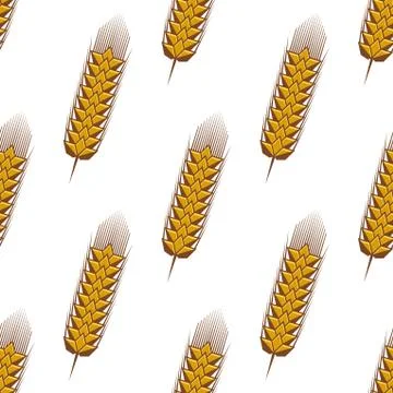 Golden spikelets of wheat seamless pattern 스톡 일러스트