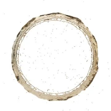 Golden splash radial 3d rendering Illustrazione stock