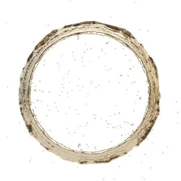 Golden splash radial 3d rendering Illustrazione stock