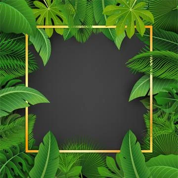 Golden Square with Text Space Surrounded By Tropical Leaves. Suitable For N.. 스톡 일러스트
