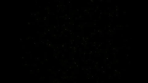 Golden star burst, festive background Stock Footage 345341978
