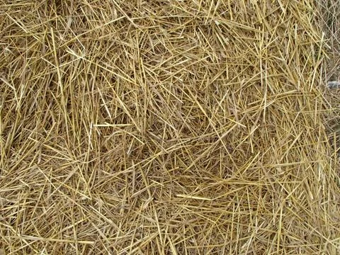 Golden Straw Textured Background Stock Photos