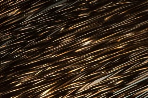 Golden stribes Stock Photos