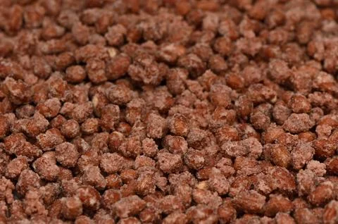 Golden Sugar Roasted Peanuts Close-Up Texture Foto stock