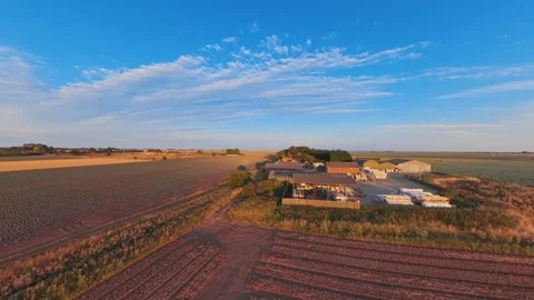 Golden sun casts warm glow over quiet farmstead 스톡 동영상 342589501