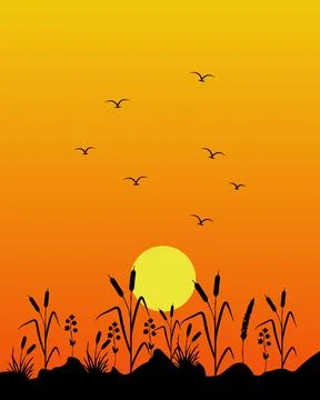 Golden sun dips low behind wild grasses Stock Illustration