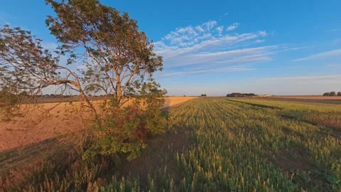 Golden sun dips low over vast, tilled fields 库存影片 342556308