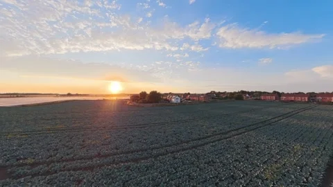 Golden sun dips low over quiet farmland Vidéo 342562243