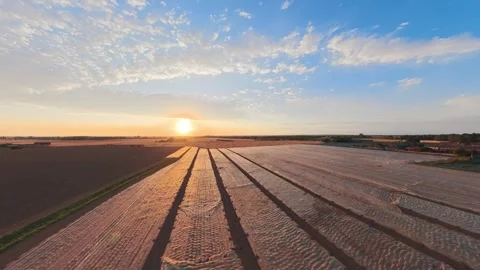 Golden sun dips low over tilled fields Vidéo 342590999