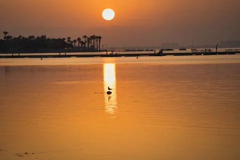 Golden sun dips low over calm waters Stock Photos