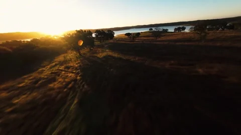 Golden sun dips over calm lake's edge Stock Footage 342178602