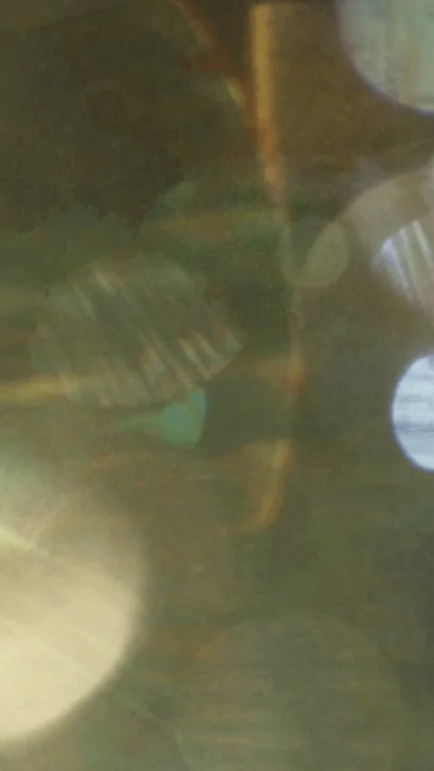 Golden Sun Light Leaks Vertical Stock-Footage 344766559