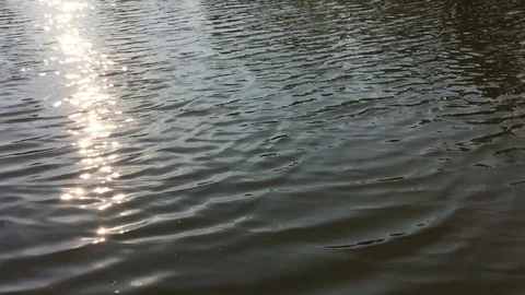 Golden sun path nature on the river. Stock Footage 89469053