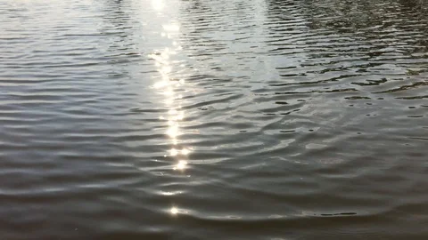 Golden sun path nature on the river. Stock Footage 89469111