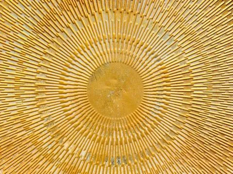 Golden sun pattern embossing radiating lines creating beautiful texture Stock Photos