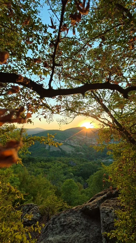 Golden sun peeks through autumn branches. Boracki krs Serbia Vertical 動画素材 345006205