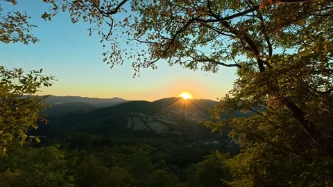 Golden sun peeks through forest canopy. Boracki krs Serbia 動画素材 345005789