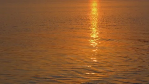 Golden sun reflection on the surface of the water. The sun is reflected on the Stock Footage 212436937