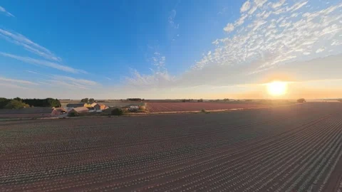 Golden sun rises over vast farmland Vidéo 342588982