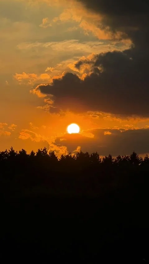 Golden sun sets over a dark forest silhouette, casting a warm orange glow throug Stock Footage 331671310