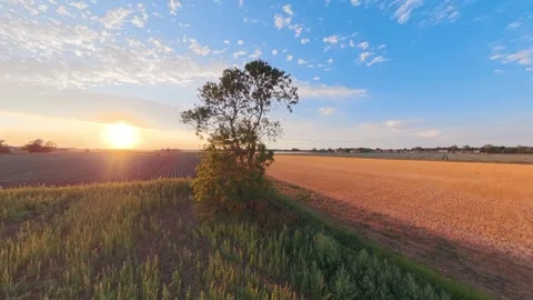 Golden sun sets over open fields 库存影片 342590911