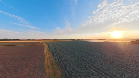 Golden sun sets over wide open fields Vidéo 342559334
