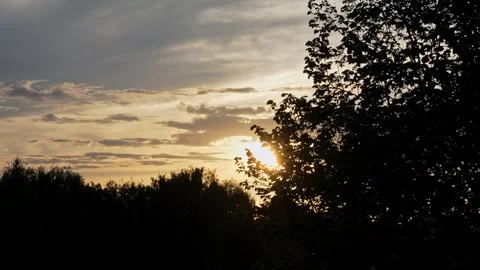 Golden sun setting behind a forest silhouette Stock Footage 345555208