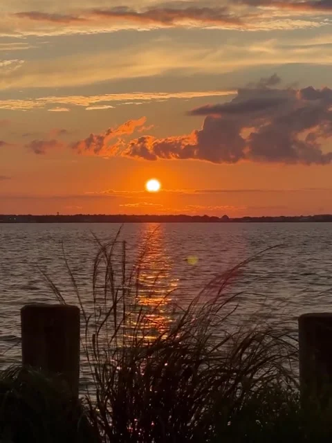 Golden Sun Setting Over Calm Coastal Waters Video stock 342268265