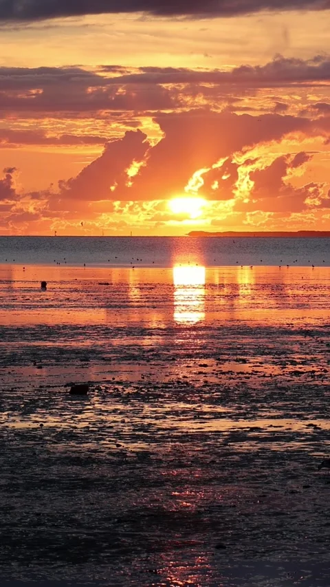 Golden sun setting over calm ocean horizon Stock Footage 344033100